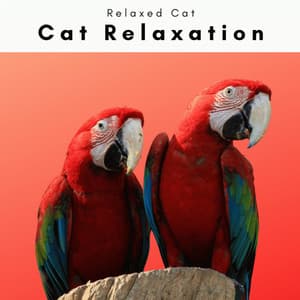 1 Relaxed Cat - Cat Relaxation