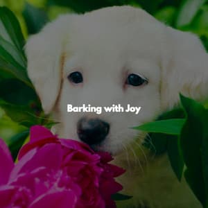 Barking with Joy - Chillout Jazz Deluxe