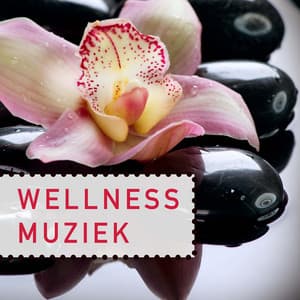 Wellness Muziek - Ontspanningsmuziek - Rustgevende Muziek Dream Masters