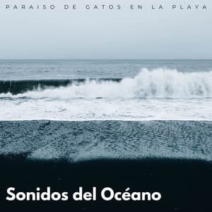 Sonidos Del Océano: Paraiso De Gatos En La Playa - Océano y Mar