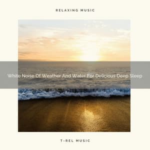 White Noise Of Weather And Water For Delicious Deep Sleep - Noise Makers