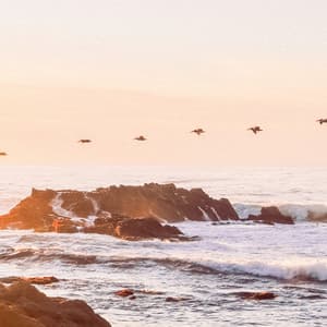 1 Ambient Night: Taking Flight - Calm Music