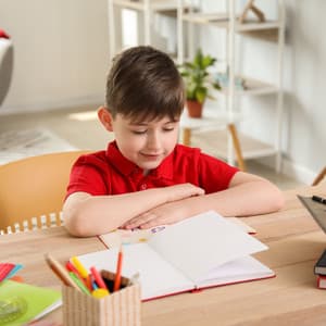 Tranquil Study Serenade: Chill Music for Concentrated Learning - Wellness Portal