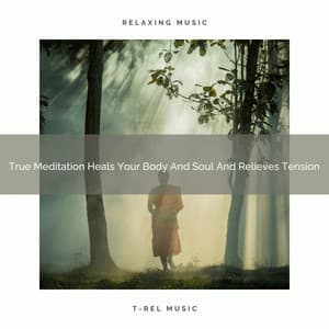 True Meditation Heals Your Body And Soul And Relieves Tension - Sanctuary Of Relax