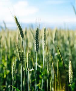 Exercise for Happier You | Unwind, Serotonin, Happiness, Wellness - Brain Study Music Guys