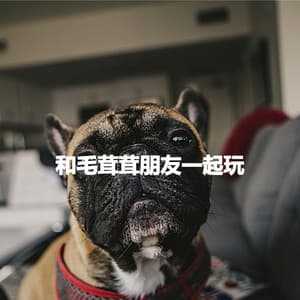 和毛茸茸朋友一起玩 - Ristorante Jazz Playlist