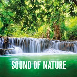 Sound of Nature - Nature Sounds Lab