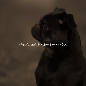 パップフェクト・ホーミー・ハウス - Jazz & Coffee Moments