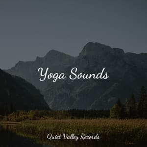 Yoga Sounds - Ambient Nature project