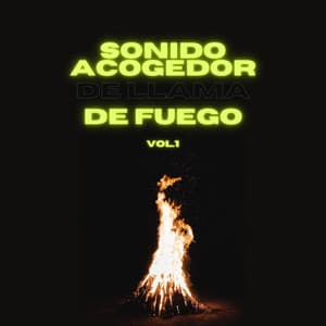 Sonido acogedor de llama de fuego Vol.1 - Bosque Negro
