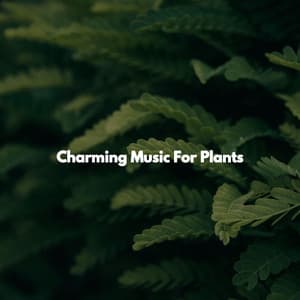 Charming Music For Plants - Jazz Music Cafe