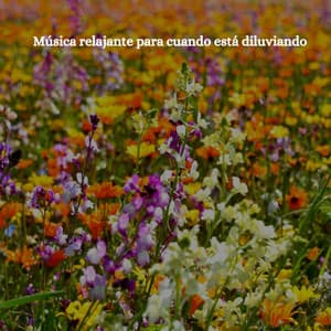 Música relajante para cuando está diluviando - Jazz Alegre para Hoteles