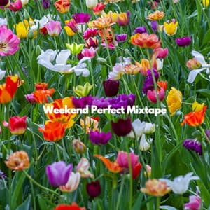 Weekend Perfect Mixtape - Bossa Nova Brazil