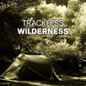 Trackless Wilderness – Immerse Into Wild Nature Sounds for Sleep - The Calming Sounds Of Nature