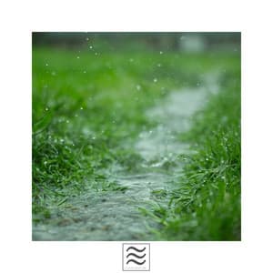 Rainfall Noises for Sleep and Rest - Light Rain Sounds