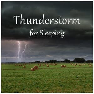 Thunderstorm for Sleeping - Baby Sleep Baby Sounds