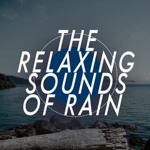 The Relaxing Sounds of Rain - Relaxing Sounds of Rain Music Club