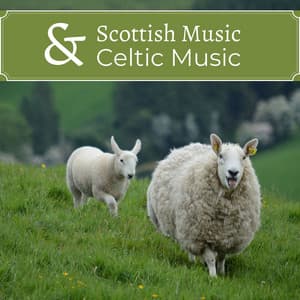 Scottish Music & Celtic Music: Calm Celtic Music for Meditation, Healing Therapy, Sleep, Yoga - Celtic Music for Relaxation