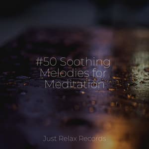 #50 Soothing Melodies for Meditation - Relaxing Spa Music