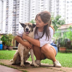 Calm Before the Storm: Chill Sound for Pets - Stormie