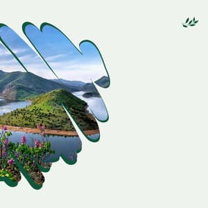 Simple - Calming Moments - Mellow Jazz Beats