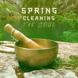 Spring Cleaning the Soul: Remove All Negative Energy with Singing Bowls Tones - Spiritual Healing Consort
