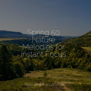 Spring 50 Nature Melodies for Instant Focus - Children's Music