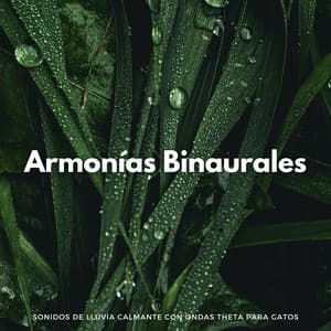 Armonías Binaurales: Sonidos De Lluvia Calmante Con Ondas Theta Para Gatos - Universo De Latidos Binaurales