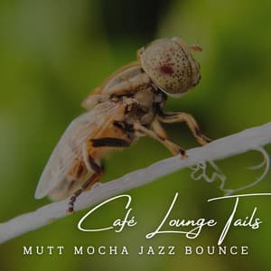 Canine Jazz Grooves: Café Lounge Tails - Latino Jazz Cafe