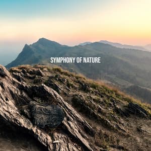 Symphony of Nature for Mind Purification & Restore Balance in the Body - Balanced New Age Rhythms