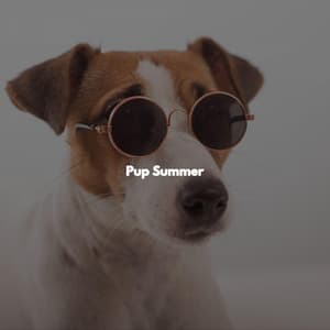 Pup Summer - Cool Jazz Lounge