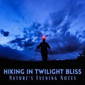 Hiking in Twilight Bliss: Nature's Evening Notes - Ambient Nature Sounds