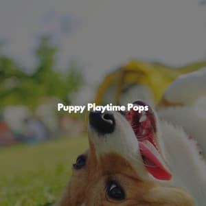 Puppy Playtime Pops - Música de la Oficina
