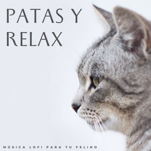 Patas Y Relax: Música Lofi Para Tu Felino - Lofi triste