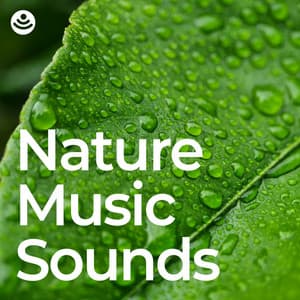 Nature Music Sounds - Yoga Nature Sounds