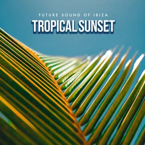 Tropical Sunset - Future Sound Of Ibiza