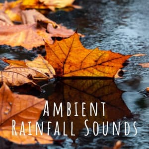 Ambient Rainfall Sounds - Rain is my Life