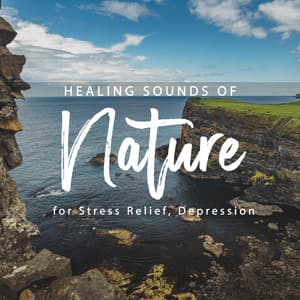 Healing Sounds of Nature for Stress Relief, Depression - New Age Wellness Creator