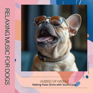 Jazzed Up Groom: Making Paws Shine with Soulful Jazz - Relaxing Music for Dogs