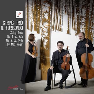 Reger: String Trios Nos. 1 & 2 - Max Reger
