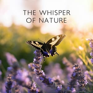 The Whisper Of Nature – Zen Garden Of Relaxation, Soothing Nature Sounds, Sweet Rain Cuddles - Green Noise Dimension