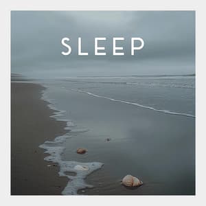 Restful Sound Slumber - Airplane Cabin Sound for Baby Sleep