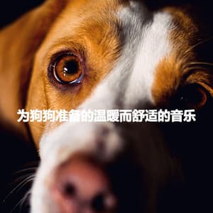 为狗狗准备的温暖而舒适的音乐 - Piano Jazz Bar