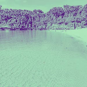 Swanky Music for Nice Fortunes - Jazz Quintet - Relaxing Piano Music Cool