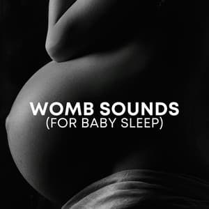 Womb Sounds - Babysounds