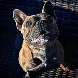 休憩と軽食 - Música Relax para Bares