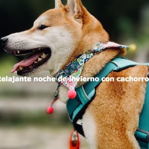 Relajante noche de invierno con cachorros - Saturday Morning Jazz Playlist