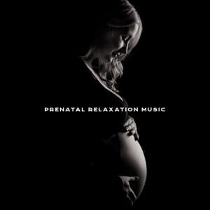Prenatal Relaxation Music for Pregnancy for the Unborn Baby and Future Parents - Pregnancy and Birthing Specialists
