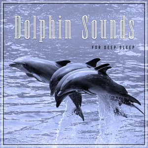Dolphin Sounds for Deep Sleep - Healing Ocean Waves Zone