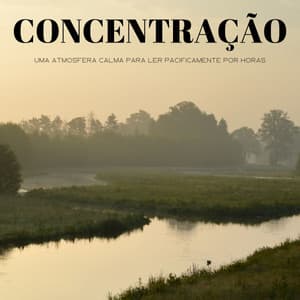 Concentração: Uma Atmosfera Calma Para Ler Pacificamente Por Horas - Relajante